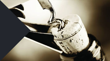 Vitisaveurs Salon Vin et gastronomie