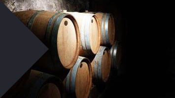 Vitisaveurs Salon Vin et gastronomie