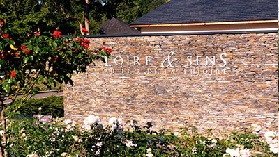 Vitisaveurs Loire & Sens Fief de la Thioire