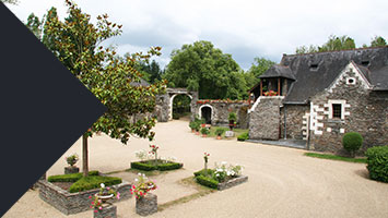 Vitisaveurs St Gemmes sur Loire